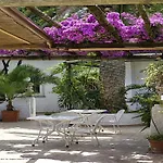 Magnolia Otel