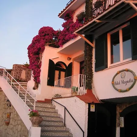 Magnolia 3* Казамиччола-Терме