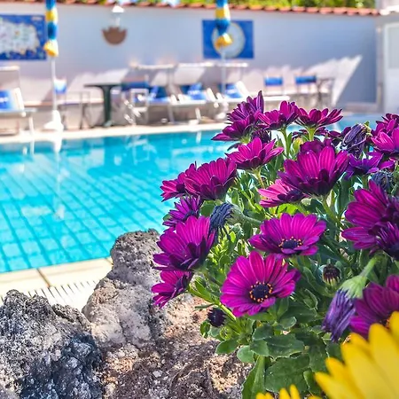 Magnolia Казамиччола-Терме