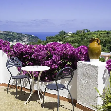 Magnolia 3* Казамиччола-Терме