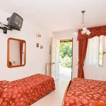 Отель Magnolia 3*