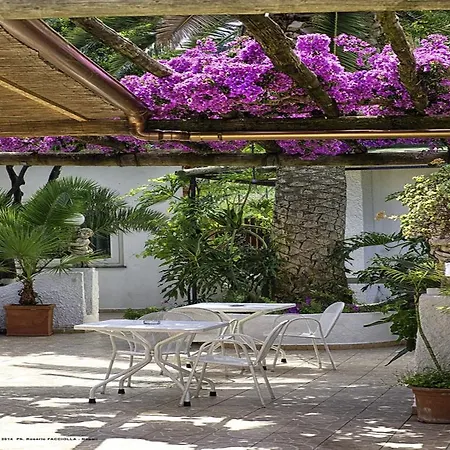 Magnolia Hotel