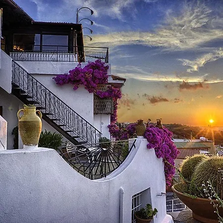 Hotel Magnolia 3*