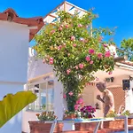Отель Magnolia 3*